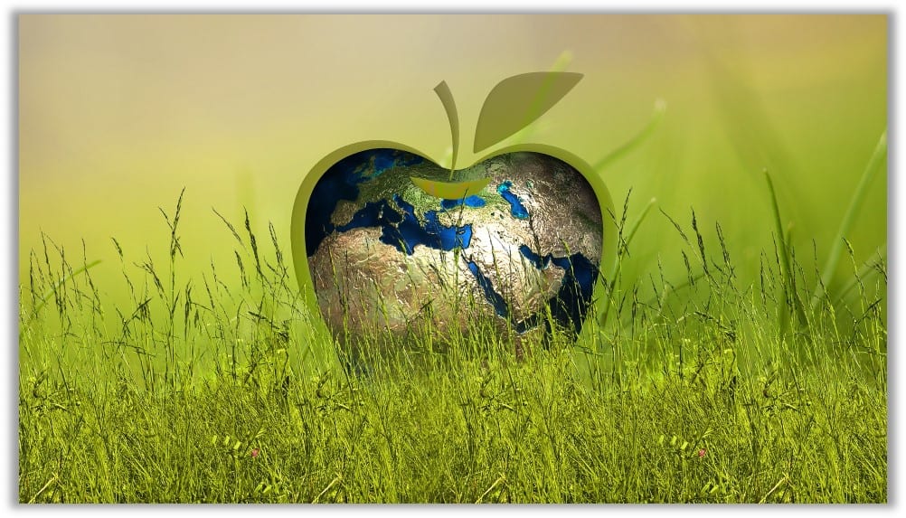 Sustainable World in an Apple